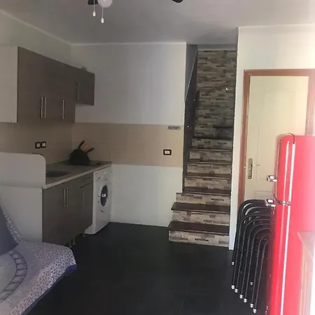Maspalomas Oasis